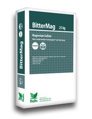 Bitter Mag